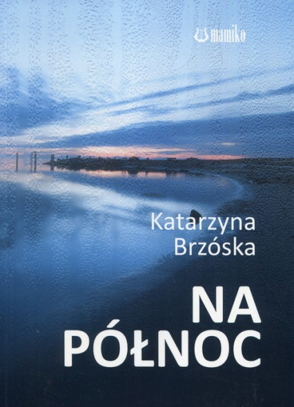 Na północ - Katarzyna Brzóska | okładka