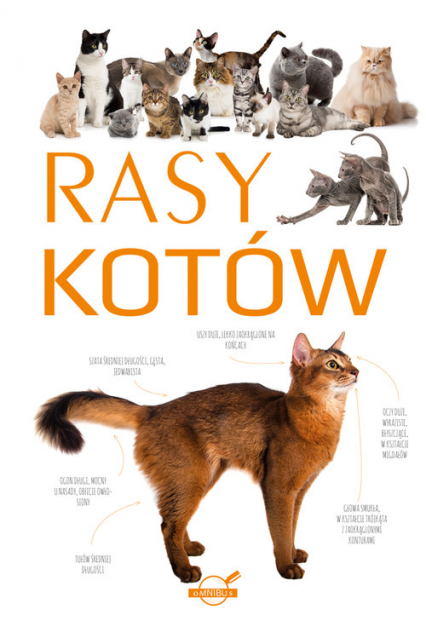 Rasy kotów - | okładka