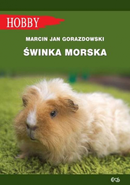 Świnka morska - Gorazdowski Marcin Jan | okładka
