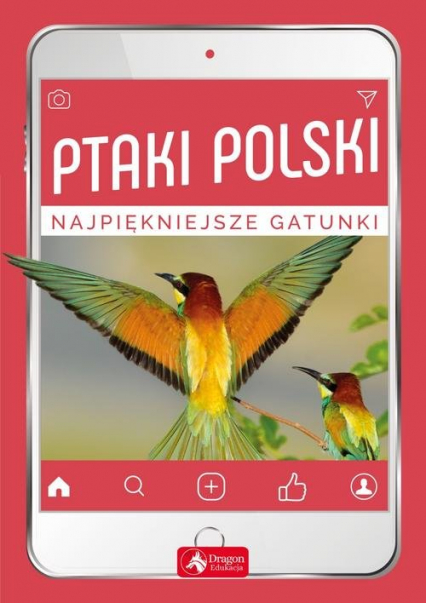 Ptaki Polski - Przybyłowicz Anna, Przybyłowicz Łukasz | okładka