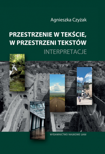 Przestrzenie w tekście, w przestrzeni tekstów Interpretacje - Agnieszka Czyżak | okładka