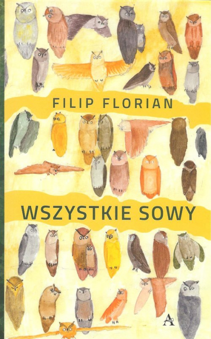 Wszystkie sowy - Filip Florian | okładka
