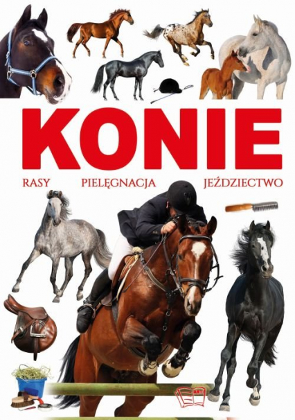 Konie rasy pielęgnacja jeździectwo - Joanna Werner | okładka