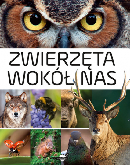 Zwierzęta wokół nas Encyklopedia ilustrowana - Anna Skrok | okładka