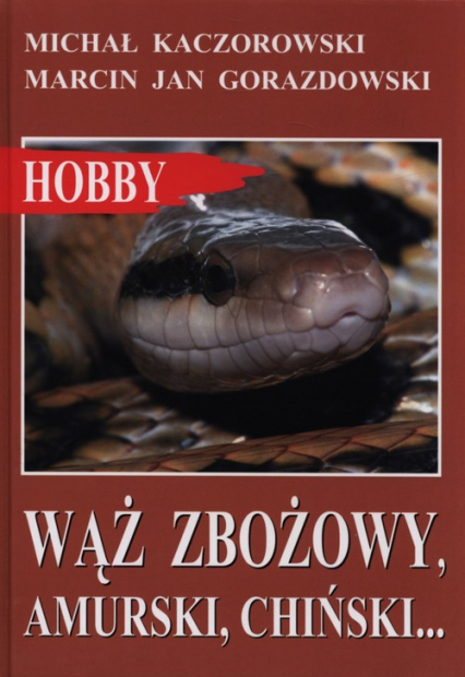 Wąż zbożowy, amurski, chiński… - Kaczorowski Michał | okładka