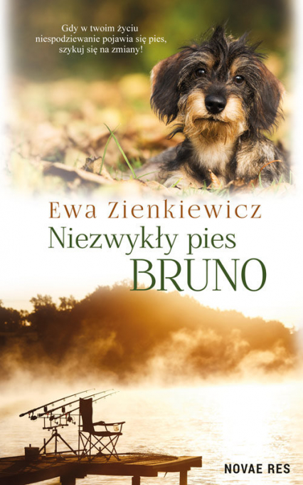 Niezwykły pies Bruno - Ewa Zienkiewicz | okładka