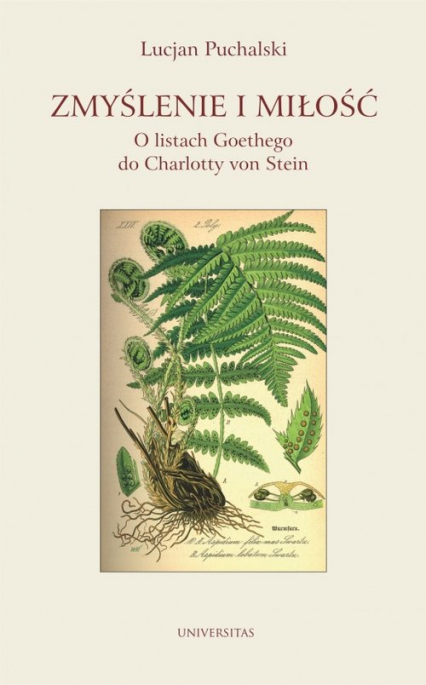 Zmyślenie i miłość O listach Goethego do Charlotty von Stein - Lucjan Puchalski | okładka