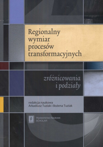 Regionalny wymiar procesów transformacyjnych zróżnicowania i podziały -  | okładka