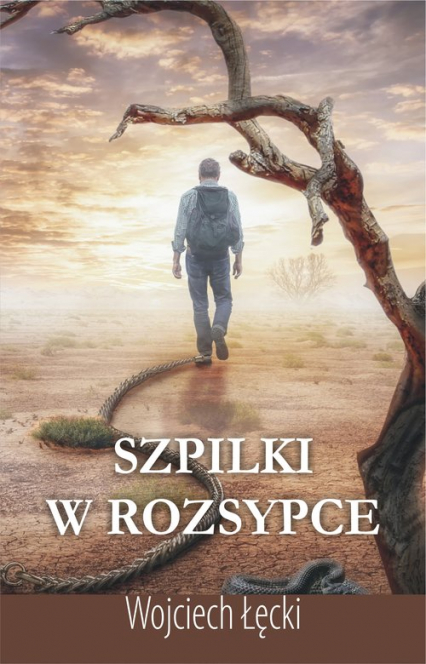 Szpilki w rozsypce - Wojciech Łęcki | okładka