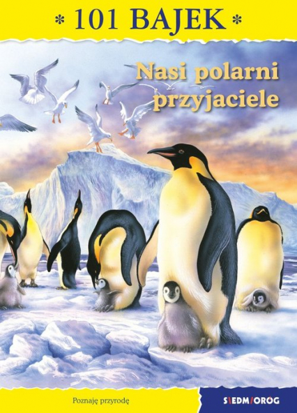 Nasi polarni przyjaciele 101 bajek - Ewa Mirkowska | okładka