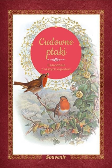 Cudowne ptaki Czarodzieje z naszych ogrodów - Guilhem Lesaffre | okładka