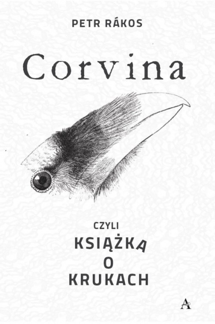 Corvina czyli książka o krukach - Petr Rakos | okładka