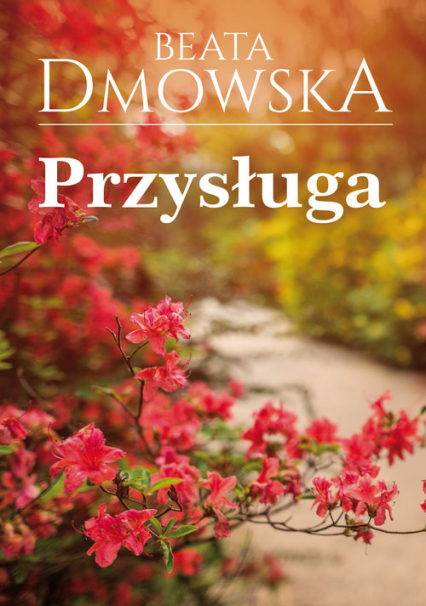 Przysługa - Beata Dmowska | okładka