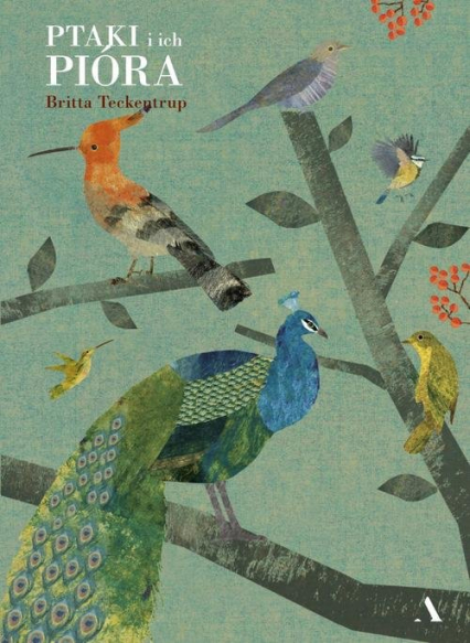 Ptaki i ich pióra - Britta Teckentrup | okładka