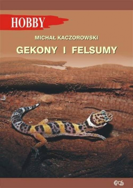 Gekony i felsumy - Kaczorowski Michał | okładka