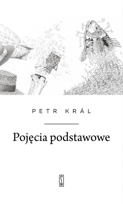 Pojęcia podstawowe - Petr Král | okładka