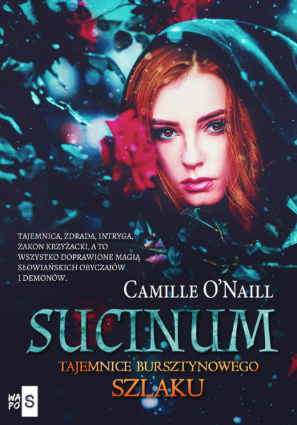 Sucinum Tajemnice Bursztynowego szlaku - Camille O'Naill | okładka