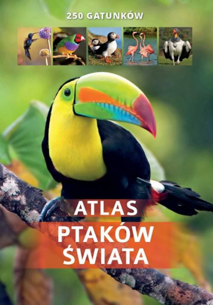 Atlas ptaków świata 250 gatunków/SBM - Twardowska Kamila, Twardowski Jacek | okładka