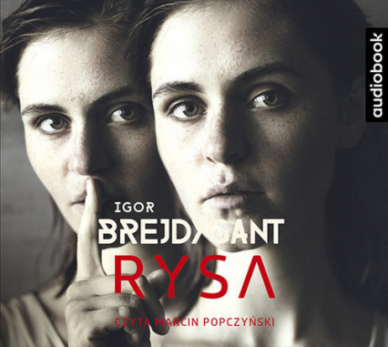 Rysa - Igor Brejdygant | okładka