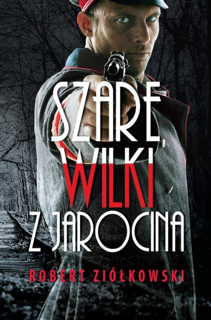 Szare wilki z Jarocina - Robert Ziółkowski | okładka