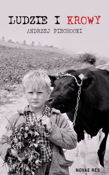 Ludzie i krowy
 - Andrzej Piechocki | okładka