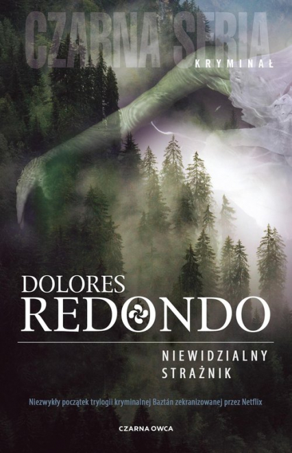Niewidzialny strażnik - Dolores Redondo | okładka