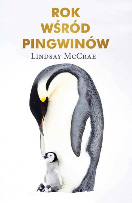 Rok wśród pingwinów - Lindsay McCrae | okładka