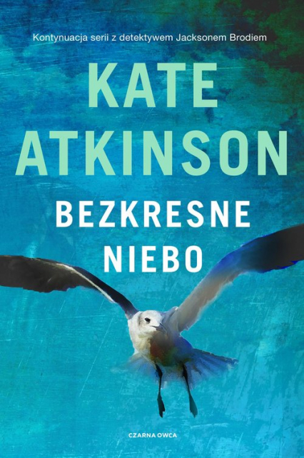 Bezkresne niebo - Kate Atkinson | okładka