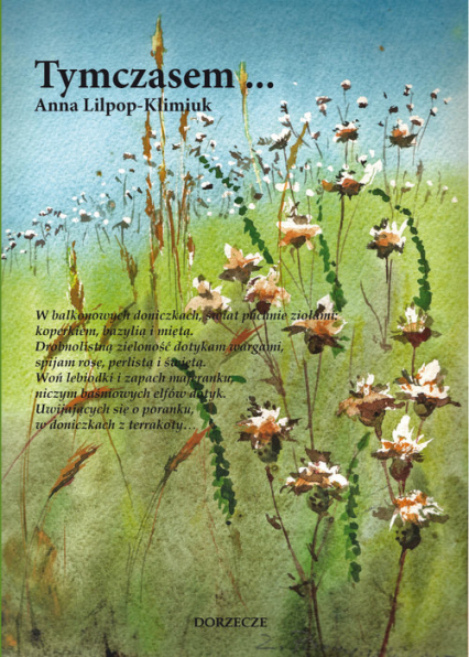 Tymczasem - Anna Lilpop-Klimiuk | okładka