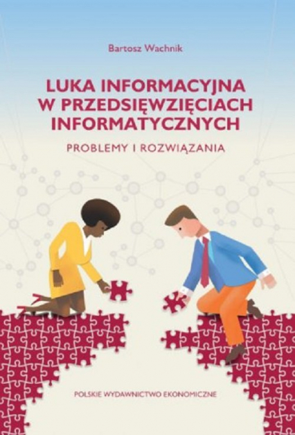 Luka informacyjna w przedsięwzięciach informatycznych. Problemy i rozwiązania - Bartosz Wachnik | okładka