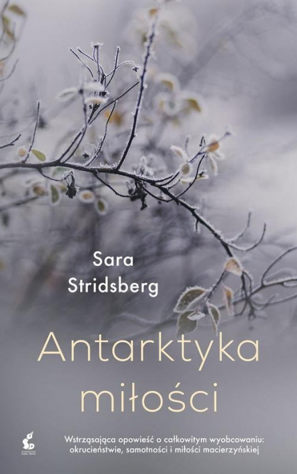Antarktyka miłości - Sara Stridsberg | okładka