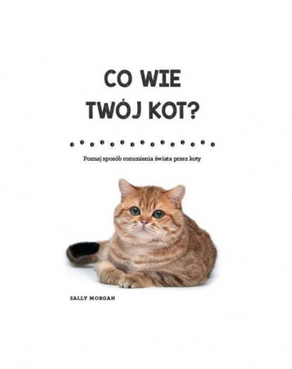 Co wie Twój kot? Poznaj sposób rozumienia świata przez koty - Sally Morgan | okładka