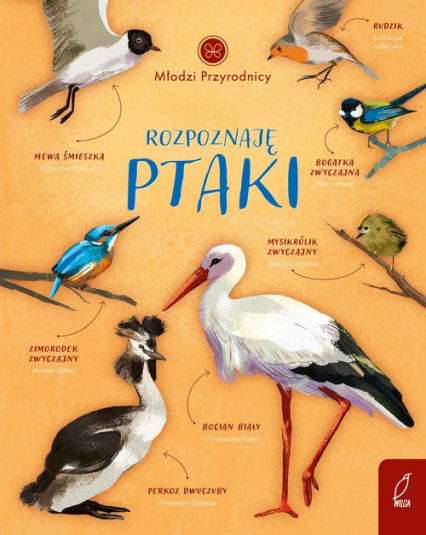 Młodzi przyrodnicy Rozpoznaję ptaki - Patrycja Zarawska | okładka