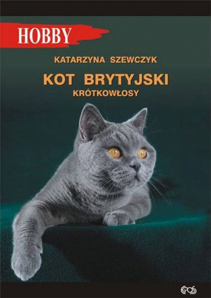Kot brytyjski krótkowłosy - Katarzyna Szewczyk | okładka
