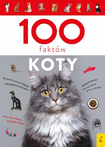 100 faktów Koty - Małgorzata Biegańska-Hendryk | okładka