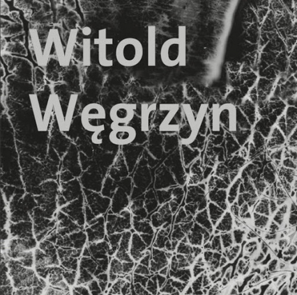 Witold Węgrzyn Nieuchwytna materialność - Witold Węgrzyn | okładka