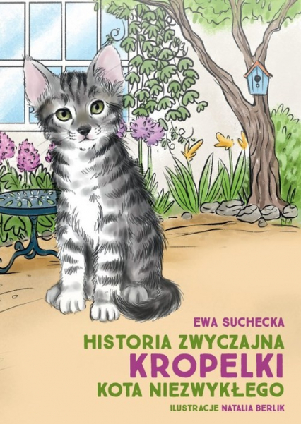 Historia zwyczajna Kropelki kota niezwykłego - Ewa Suchecka | okładka