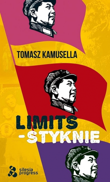 Styknie / Limits / Silesia Progress - Tomasz Kamusella | okładka