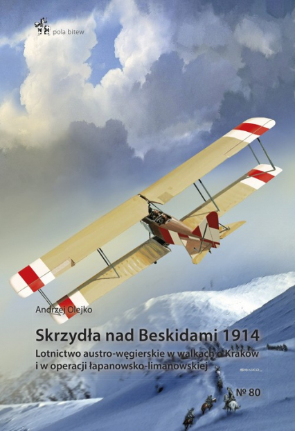 Skrzydła nad Beskidami 1914 - Olejko Andrzej | okładka