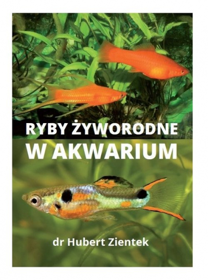 Ryby żyworodne w akwarium - Hubert Zientek | okładka