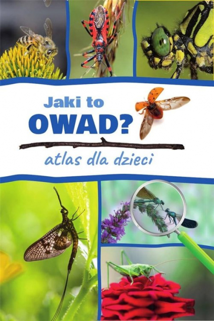 Jaki to owad? Atlas dla dzieci - Jacek Twardowski, Kamila Twardowska | okładka