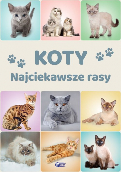 Koty Najciekawsze rasy -  | okładka