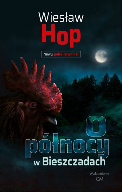 O północy w Bieszczadach - Wiesław Hop | okładka