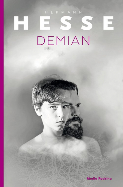 Demian - Hermann Hesse | okładka
