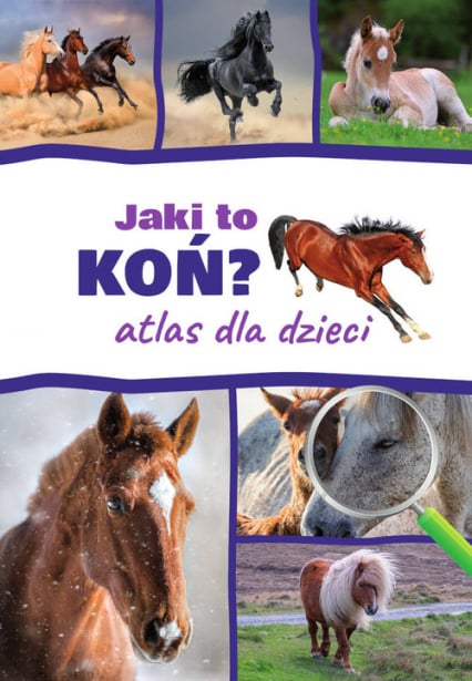 Jaki to koń? Atlas dla dzieci - Jacek Twardowski, Kamila Twardowska | okładka