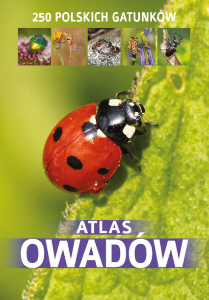 Atlas owadów - Jacek Twardowski, Kamila Twardowska | okładka
