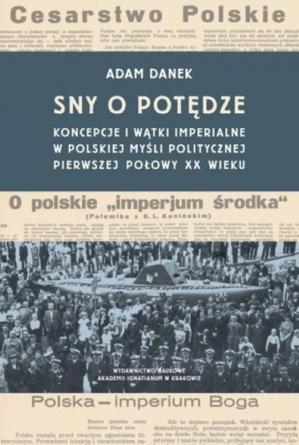 Sny o potędze Koncepcje i wątki imperialne w polskiej myśli politycznej pierwszej połowy XX wieku - Adam Danek | okładka