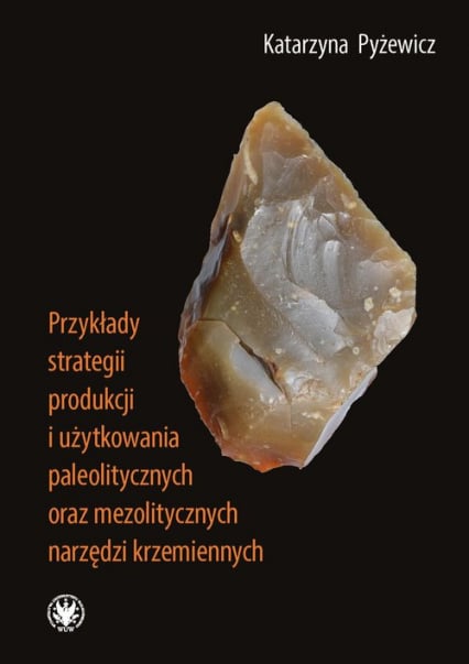 Przykłady strategii produkcji i użytkowania paleolitycznych oraz mezolitycznych narzędzi krzemiennych - Katarzyna Pyżewicz | okładka