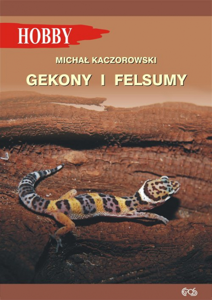 Gekony i felsumy - Kaczorowski Michał | okładka