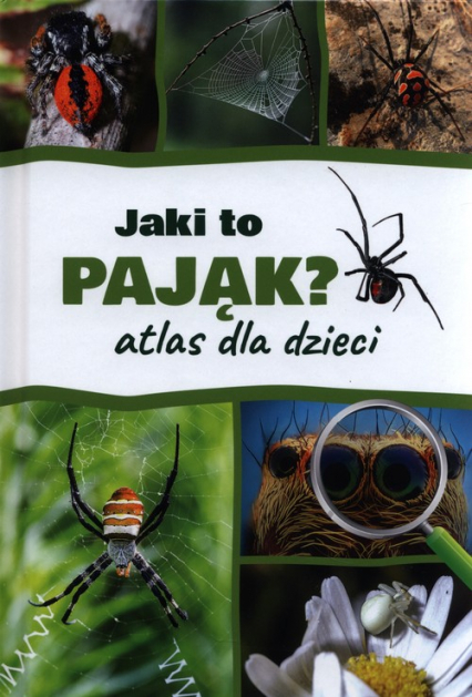 Jaki to pająk? Atlas dla dzieci - Jacek Twardowski | okładka